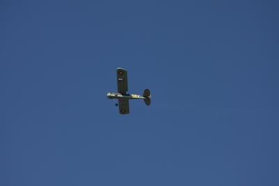IMG 1656